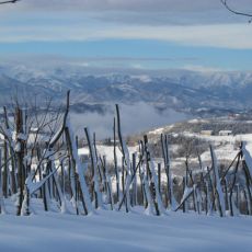 IMG_0716.jpg