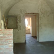 DSC01937.jpg