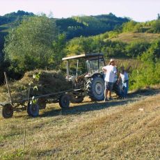 Jens-Aziende-Agricola.jpg