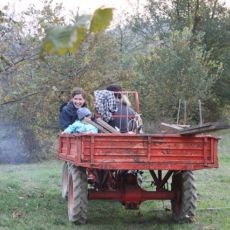 Ausflug-Traktor.jpg