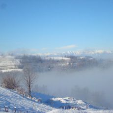 DSC02386.jpg