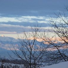 IMG_0702.jpg