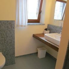 IMG_1555.jpg